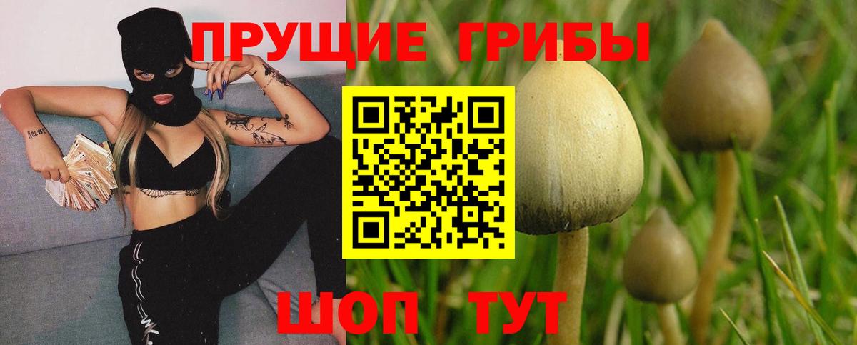 Псилоцибиновые грибы мицелий  Вход с VPN  Лесосибирск 